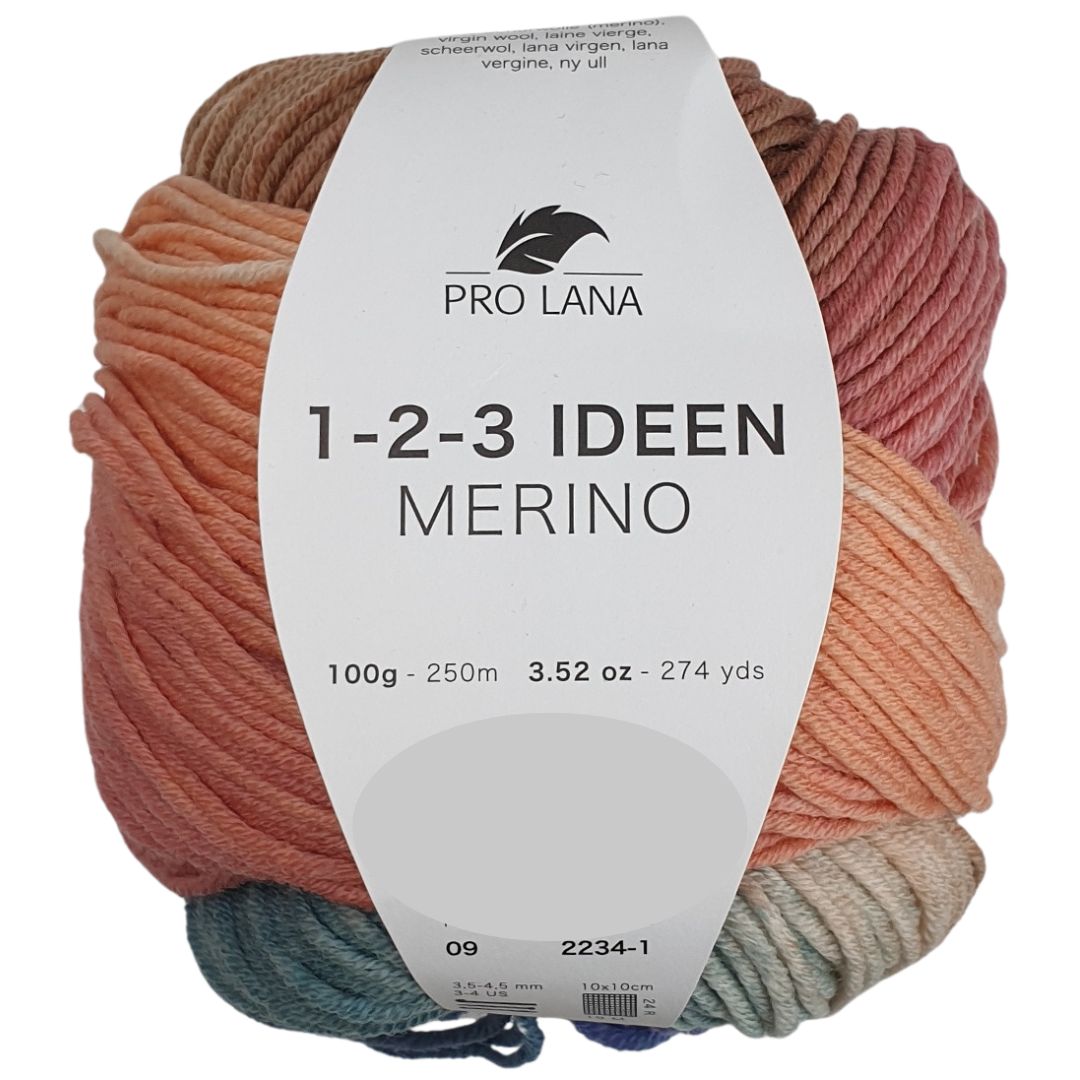 Pro Lana - 1-2-3 IDEEN Farbverlaufsgarn - MERINO 09