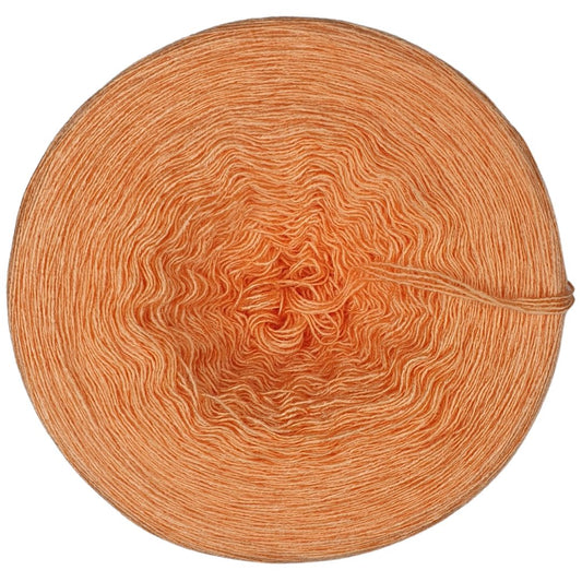 Uni - Modal (UM26) - Begonie