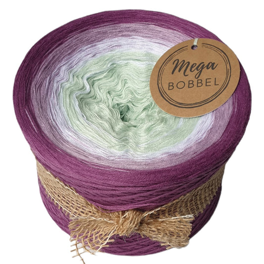 Krokusblüte - (B248)