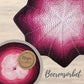 Beerensorbet - (B356)