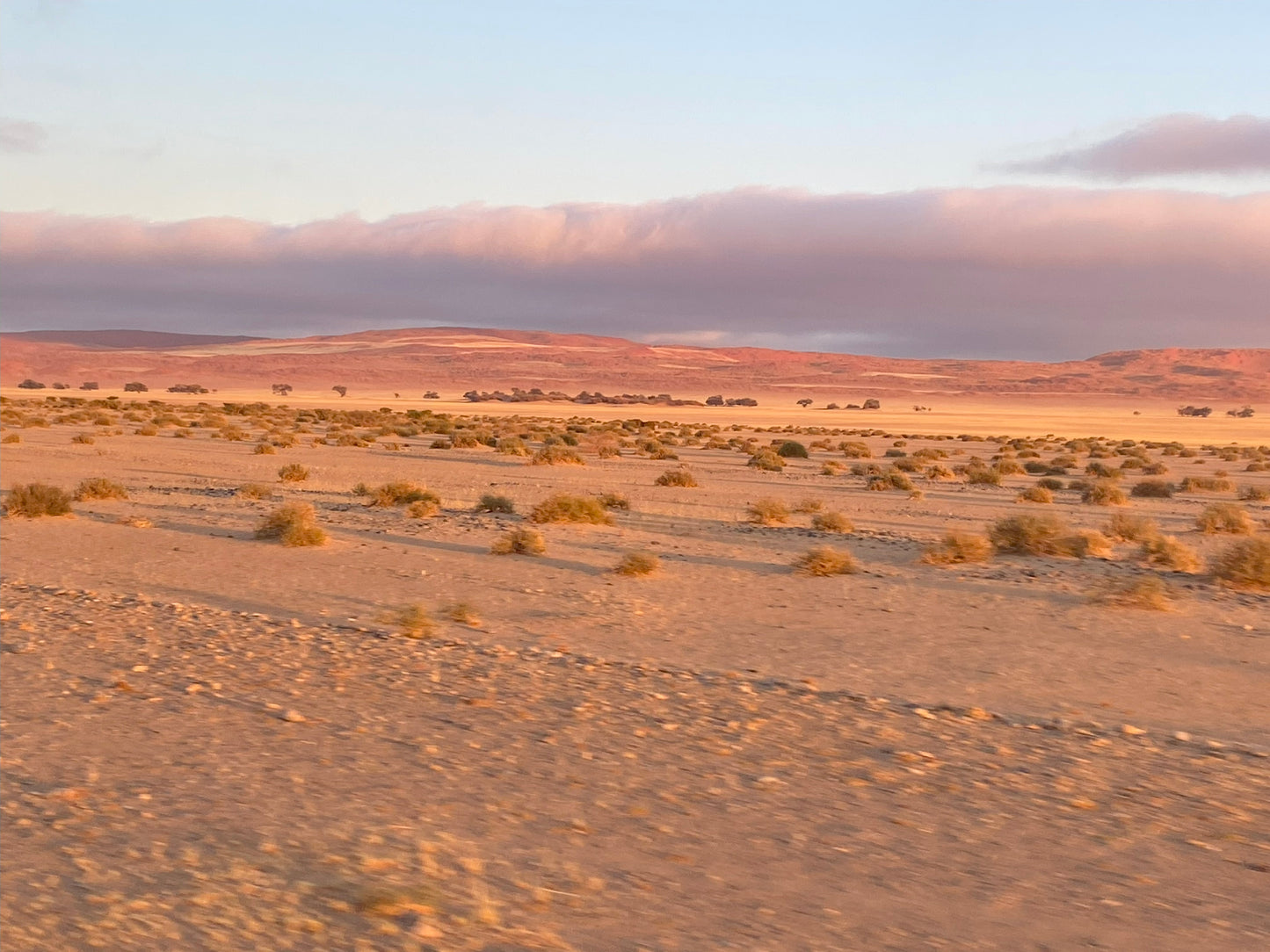 MODAL - Namibischer Morgen - (MD106)