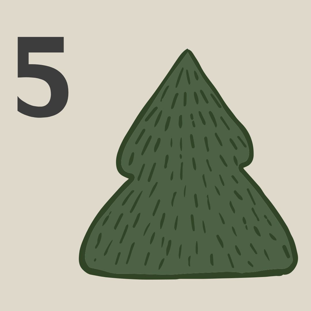 MODAL - Namibischer Morgen - (MD106)